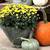 VINTAGE COAL BUCKET-Ck Decor Ideas 1 thumbnail