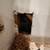 PLUMBING REPAIRS 6 thumbnail