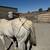 Horse Training 4 thumbnail