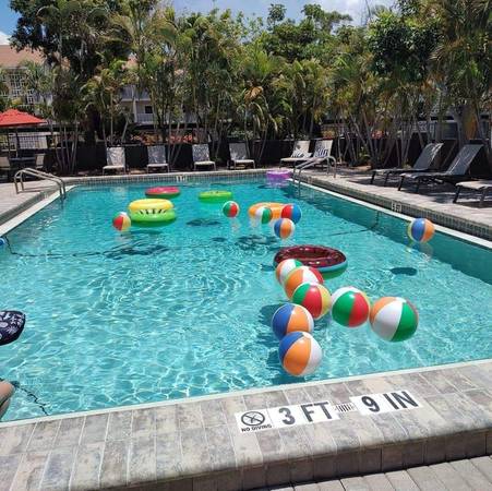 $1,399 / 1hab - 675ft2 - ¡Bajada de alquiler en septiembre y excelentes ofertas! 💰💥💰 (4055 MacEachen Blvd, Sarasota, FL)63791154269569120