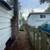 SOD*Cleanups*Bark/Rock*Blackberry*BUSHES*Fences*Shrubs*REO EXPERIENCE 4 thumbnail