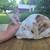 Mini Rex Does and Bucks 1 thumbnail
