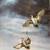 Framed limited edition print "Green Winged Teal" 2 thumbnail