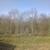 Clearing, mulching,treepulling, dirtwork. 4 thumbnail