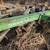 John Deere 5 Bottom Plow 3 thumbnail