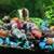 Feeder snails rehome 1 thumbnail