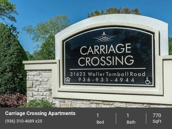 $1,031 / 1br - 770ft2 - Your Serene Retreat with Modern Comforts (Waller)63906680650114123