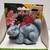 Rainman's Pets Ceramic Plant Self-Watering Spikes w/ Funnel - Squirrel 1 thumbnail