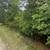 2.2 total acre doublewide mobile home friendly vacant land - Wadley GA 7 thumbnail