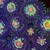 JF Stargazer Zoa Coral Frag 2 thumbnail