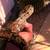Female hog island boa 3 thumbnail