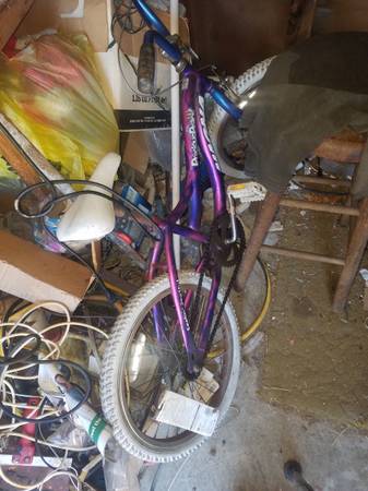 20 inch Girls Bike 1