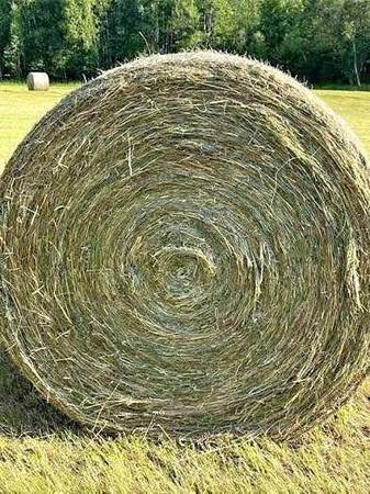 Alfalfa 2nd crop 4x5 round bales 1