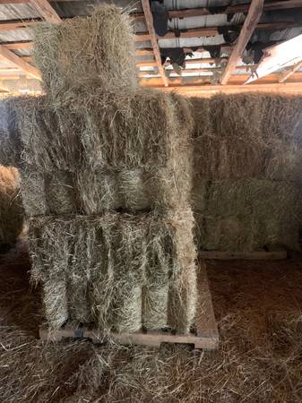 Square bales of hay 1