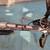 Excellent condition Felt 24 speed bike 6 thumbnail