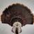 Englehart Outdoor Taxidermy Service's 4 thumbnail