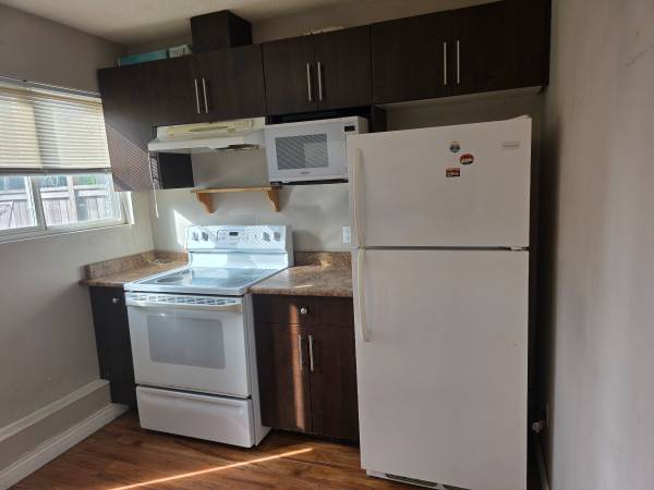 Basement Suite in Delta 1