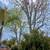 Ramirez the green landscaping maintenance n san diego areas 9 thumbnail
