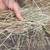 2025 Mixed Grass Hay Available 5 thumbnail