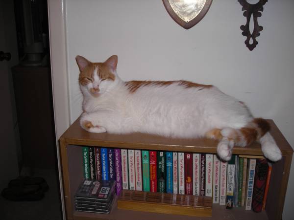 "The Cat who Played Post Office" by Lilian Jackson Braun - 39 books 1