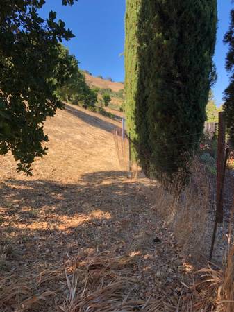 Free Wire Fencing 1