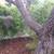 PET LOVER'S DELIGHT. OWN  YARD, SEPARATE ENTRANCE-COOL AREA 7 thumbnail