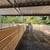 MARE MOTELS | HORSE LIVESTOCK CORRALS 3 thumbnail