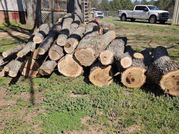 Oak firewood 1