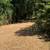 Land Clearing Forestry Mulching 3 thumbnail