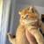 Kittens 2 thumbnail
