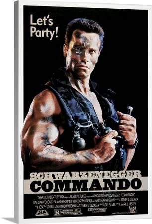 NEW SCHWARZENEGGER POSTER 1