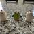 Small Ceramic Chickens and Duck (Set of 3) 2 thumbnail