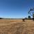 Mowing, Leveling, Dirt Work, Cleanups, Tree Trimming 6 thumbnail