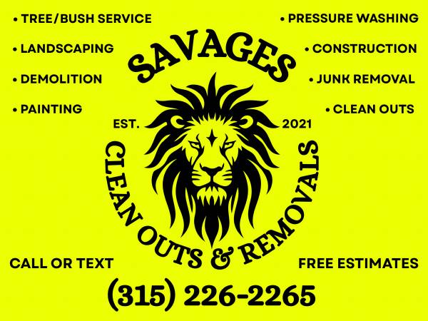 Junk removal 1