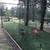 Unused Synthetic Turf 75¢ per ft² 9 thumbnail