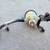 2015-21 Kia Sedona Power Steering Bottle / Fan Blower 9 thumbnail