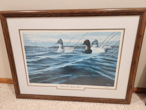 Framed Wildlife Print 1