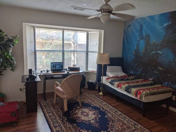 Private room with shared bathroom for rent in Plano, TX 75023 1