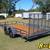 🎁THE PERFECT GIFT - NEW 2026 7X16 TRIPLE CROWN ATV UTILITY TRAILER🎁 4 thumbnail