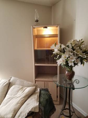 Curio Cabinets (2) lighted 1