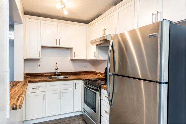 $2,150 / 1br - 650ft2 - NEWLY RENOVATED LARGE AND SPACIOUS 1 BEDROOM (san rafael)63668079362945120