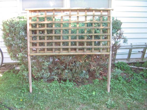Cedar Trellis 1
