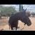 OTTB Project 1 thumbnail