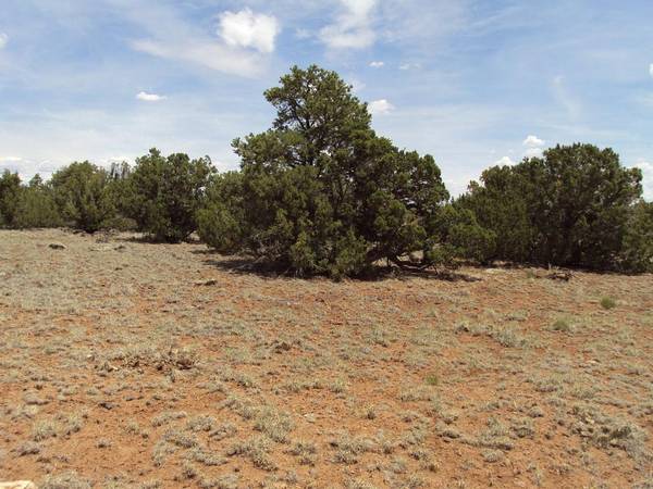 $18,900 / 261360ft2 - 5 and 6 Acre lots 25 min. NE. of Show Low, Nicely wooded in nice area (Show Low/Concho)64147853860994120