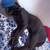 black cat. 4 thumbnail