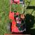 Snow Thrower 1 thumbnail