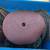 54 - 9” 36 grit Abrasive Discs 1 thumbnail