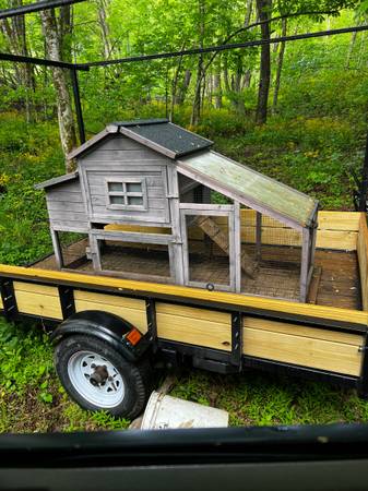 Chicken coop 1