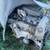 2008 vortec 4200 inline 6 cylinder, RAN BUT HAD A SOFT KNOCK 1 thumbnail