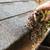 ✨️$100.GUTTER,GUTTERS ✨️CLEANING-GUTTER REPAIR-NEW GUTTERS✨️$150 22 thumbnail